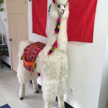 La Empanada Llama - Peruvian Near Me - Albany, New York La Empanada Llama - Peruvian Near Me - Albany, New York