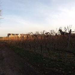 Weingut P. J. Valkenberg