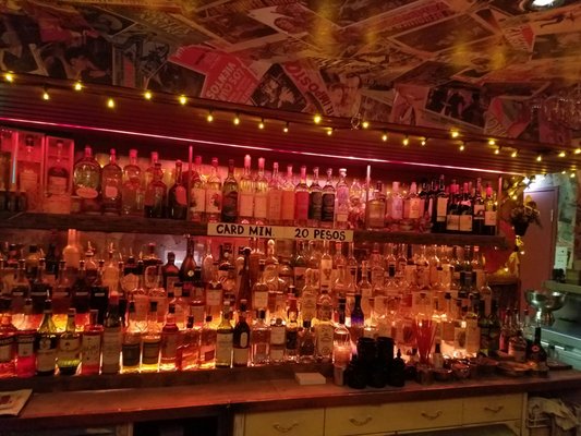 Bodega Underground by null