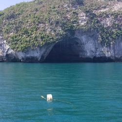 Mike's Fishing & Tours