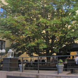 Bock - Terrace - ... sandwiches under the tree :o) ...