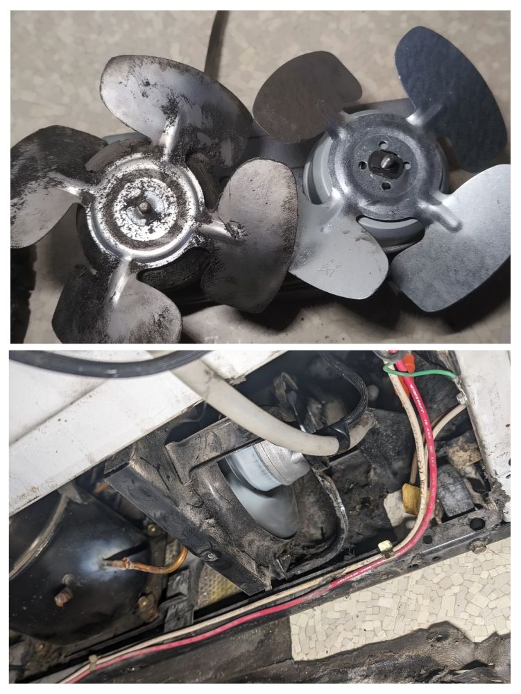 APPLIANCE DOCTOR Updated March 2024 51 Photos Newton