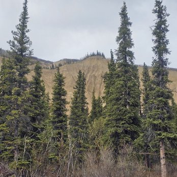 Black Diamond Resort - Incredible views at ever turn. - Resorts Near Me - Healy, Alaska