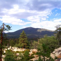 Gray's Peak Trail - The lush side of the forest