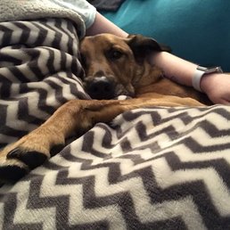 He really loves his forever family