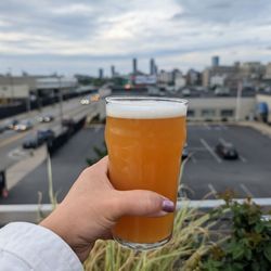 Dorchester Brewing
