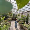 Berns Garden Center gift card