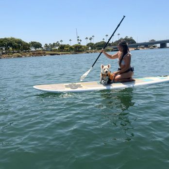 SUP Pups - Paddleboarding Near Me - San Diego, California