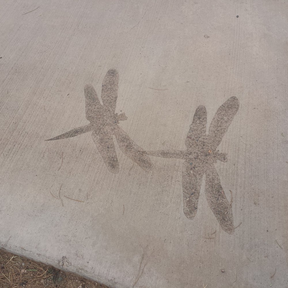Moon Valley Park - Parks Near Me - Phoenix, Arizona