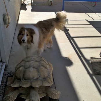 Kyles Glass - Pet friendly crews! - Glass & Mirrors Near Me - Oceanside, California