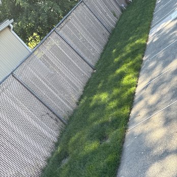 Grasshopper Lawns - Tree Services Near Me - Larksville, Pennsylvania