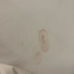 Comfort Inn Battle Mountain - Menstruation blood stains