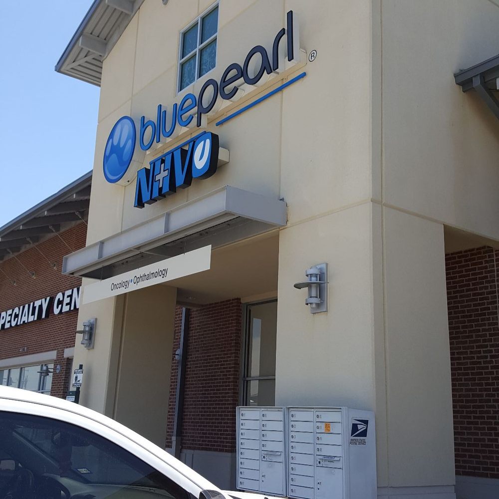 BluePearl Pet Hospital - Trip to the Internist for my Kitten... - Veterinarians Near Me - Spring, Texas BluePearl Pet Hospital - Trip to the Internist for my Kitten... - Veterinarians Near Me - Spring, Texas