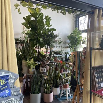 Ham & Cheese Deli - Attached to plant shop - Sandwiches Near Me - San Francisco, California Ham & Cheese Deli - Attached to plant shop - Sandwiches Near Me - San Francisco, California
