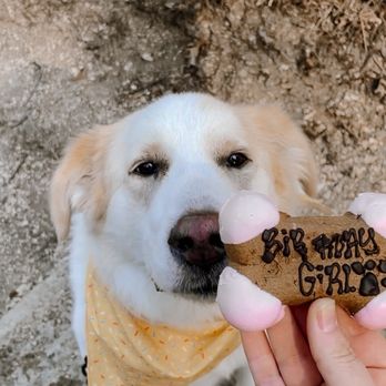 Three Dog Bakery - Pet Stores Near Me - Plano, Texas Three Dog Bakery - Pet Stores Near Me - Plano, Texas