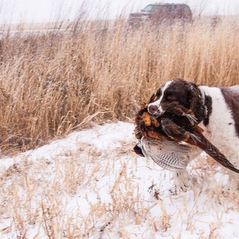 Fieldsport - Guns & Ammo Near Me - Traverse City, Michigan Fieldsport - Guns & Ammo Near Me - Traverse City, Michigan