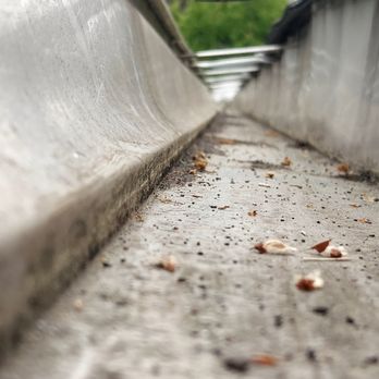Gutter Kings NC - Gutter Services Near Me Gutter Kings NC - Gutter Services Near Me