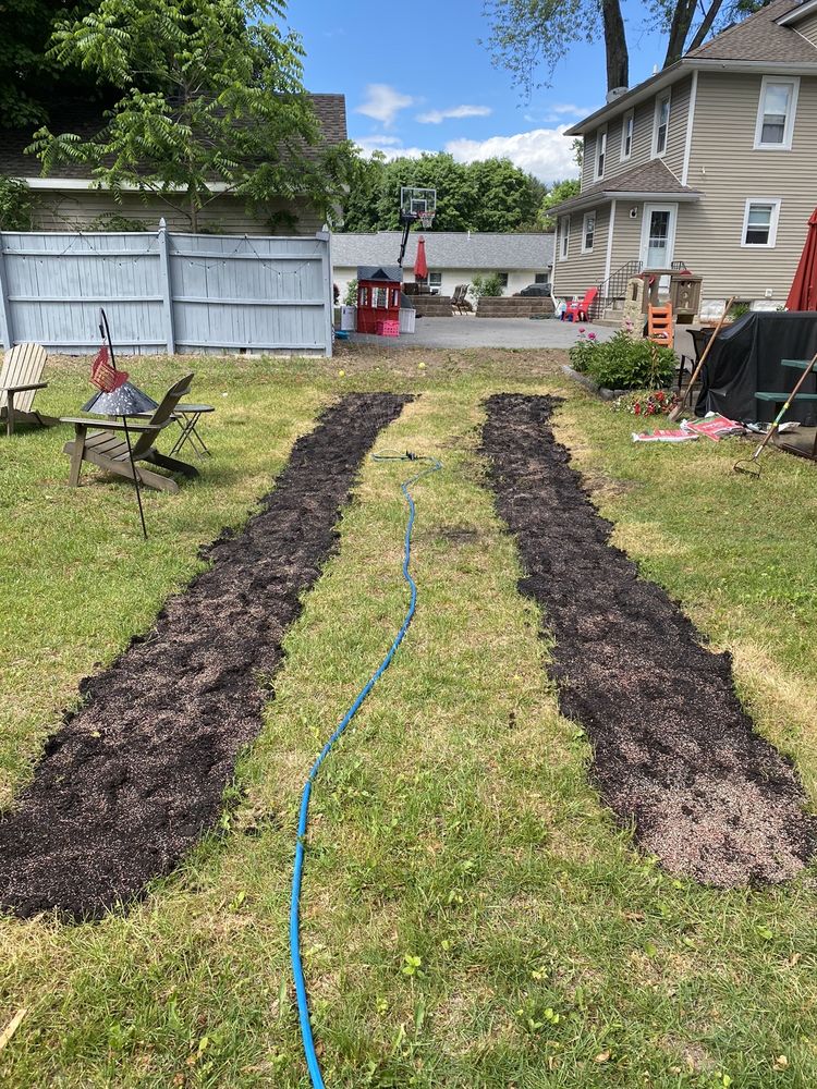 Mark's Tree Service - tree service in Albany, NY