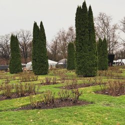 Boise Municipal Rose Garden - Spring-the roses are coming soon