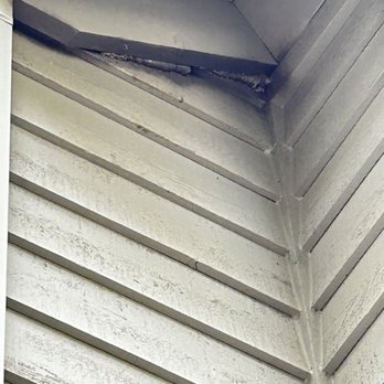 Rats Rodent Control - This is where the bats were entering - Pest Control Near Me Rats Rodent Control - This is where the bats were entering - Pest Control Near Me