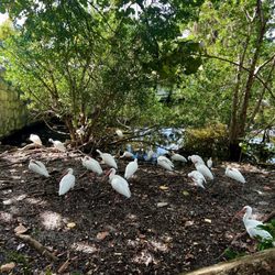 Don Soffer Exercise Trail