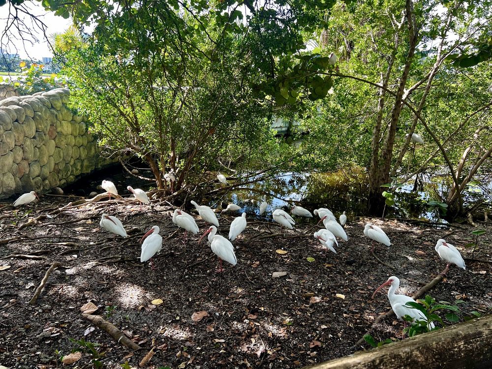 Don Soffer Exercise Trail Image