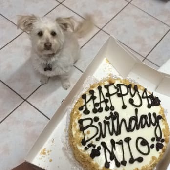 The Dog Bakery - My dog loved his cake! We got a 5 in. peanut flavor one - Pet Stores Near Me - Pasadena, California The Dog Bakery - My dog loved his cake! We got a 5 in. peanut flavor one - Pet Stores Near Me - Pasadena, California