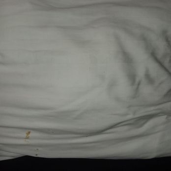 Super 8 by Wyndham El Cajon CA - Dirty sheets - Hotels Near Me - El Cajon, California
