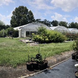 Blue Star Nursery - another pano