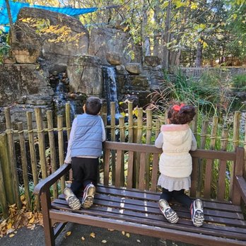 Bergen County Zoo - Enjoying the waterfall - Zoos Near Me - Paramus, New Jersey