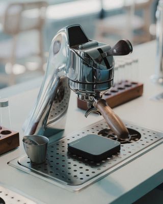 The Boy & The Bear - Gardena by null