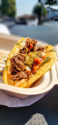 Border Burrito by null