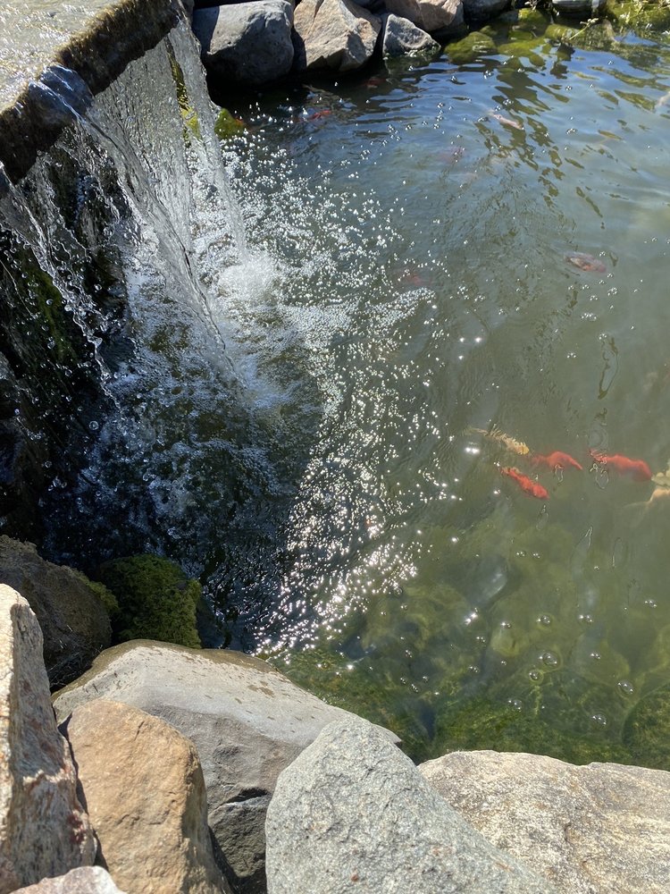 AMERICAN TREE Updated May 2024 3903 Van Dyke Rd, Almont, Michigan