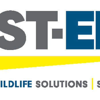Pest-End Exterminators - Pest Control Near Me - Plaistow, New Hampshire Pest-End Exterminators - Pest Control Near Me - Plaistow, New Hampshire