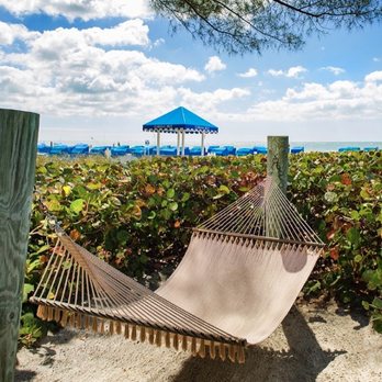 Sandbar Beach Bar - Hammocks at Sandbar Beach Bar & Grill, RumFish Beach Resort by Tradewinds - Bars Near Me - St. Pete Beach, Florida Sandbar Beach Bar - Hammocks at Sandbar Beach Bar & Grill, RumFish Beach Resort by Tradewinds - Bars Near Me - St. Pete Beach, Florida