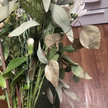 Barstow Flower & Bridal - Dead leaves - Florists Near Me - Barstow, California Barstow Flower & Bridal - Dead leaves - Florists Near Me - Barstow, California