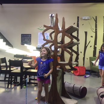 Orlando Cat Cafe - Animal Shelters Near Me - Clermont, Florida Orlando Cat Cafe - Animal Shelters Near Me - Clermont, Florida