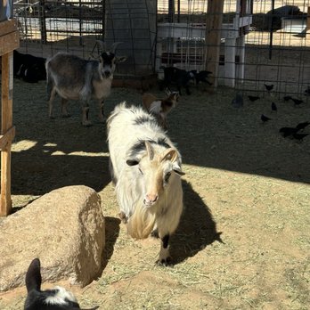 Superstition Farm - Farmers Market Near Me - Mesa, Arizona