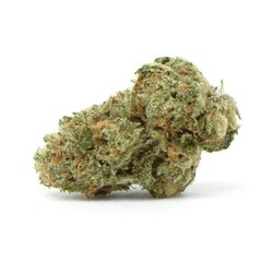 Hemp Geek