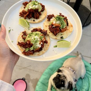 Twelvemonth - Al Pastor Tacos - Vegan Near Me - Burlingame, California Twelvemonth - Al Pastor Tacos - Vegan Near Me - Burlingame, California
