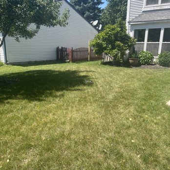 Weiss Lawn Care - Front lawn - Pest Control Near Me - Carol Stream, Illinois Weiss Lawn Care - Front lawn - Pest Control Near Me - Carol Stream, Illinois