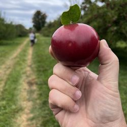 Brackett's Farm