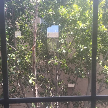 Squeegee Pro - Window Washing Near Me - Costa Mesa, California
