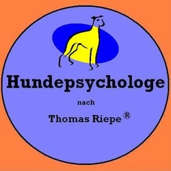 Thomas Riepe - Quelle: Webseite