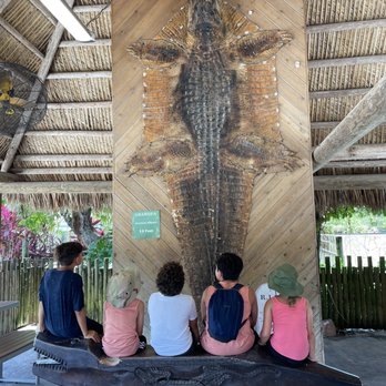 Everglades Alligator Farm - Zoos Near Me - Homestead, Florida Everglades Alligator Farm - Zoos Near Me - Homestead, Florida