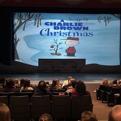Dallas Childrens Theater