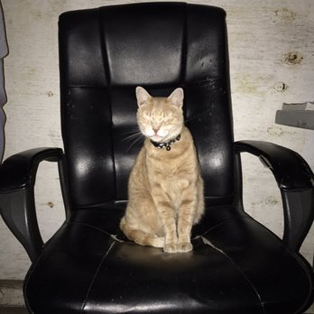 RedBin - The boss! - Self Storage Near Me - Brooklyn, New York