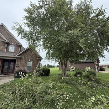 American Handyman Services - Tree trimmed - Handyman Near Me American Handyman Services - Tree trimmed - Handyman Near Me