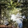 Photo of Le Bois de Boulogne