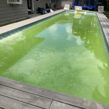 Pali's Pools - Before - Pool Cleaners Near Me - Kailua, Hawaii